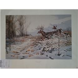 UNFRAMED ART "STORMY RETREAT" BY CHRIS KUEHN PUBLISHED 1995