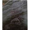 Image 3 : UNFRAMED ART "FALL RITUAL" BY TOM MANSANAREZ 1994 SIGNED ARTIST PROOF