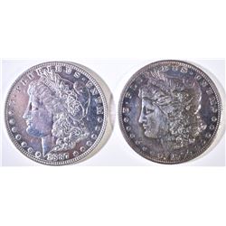 (2) CLEANED AND POLISHED MORGANS: