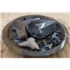 Image 8 : Fossil Dish Full of Fossils