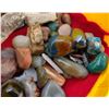 Image 8 : Large Gem & Mineral Collection