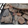 Image 6 : Large Group of Anasazi Potsherds