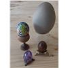 Image 11 : Egg Collection