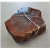 Image 3 : Petrified Wood Specimen