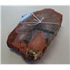 Image 5 : Petrified Wood Specimen