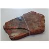 Image 7 : Petrified Wood Specimen