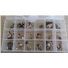 Image 1 : Hohokam Bead Collection