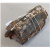 Image 8 : Fragment of Fossilized Mastodon Tusk