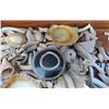 Image 3 : Collection of Hohokam Shell Artifacts