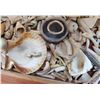 Image 7 : Collection of Hohokam Shell Artifacts