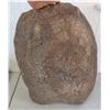 Image 11 : Anasazi Grinding Set