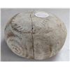 Image 11 : Hohokam Painted Clay Bowl