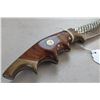 Image 2 : Custom Anza Bowie Knife