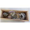 Image 1 : Gem & Mineral Collection