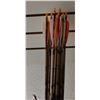 Image 12 : Bow & Arrows Set