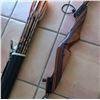 Image 2 : Bow & Arrows Set