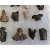 Image 2 : Authentic Chumash Collection