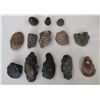 Image 2 : Chumash Artifact Collection