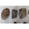 Image 6 : Chumash Artifact Collection