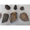 Image 8 : Chumash Artifact Collection