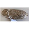 Image 8 : Chumash Grouper Fish