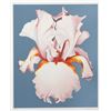 Image 1 : Lowell Blair Nesbitt, White Iris on Blue II, Serigraph