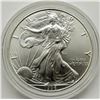 Image 1 : 1996 AMERICAN SILVER EAGLES