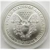 Image 2 : 1996 AMERICAN SILVER EAGLES