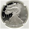 Image 2 : 2002-W AMERICAN SILVER EAGLE NGC PF69