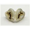 Image 1 : 10K GOLD/SEASHELL DOLPHINE PIERCED EARRINGS