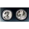 Image 1 : 2013-W AM SILVER EAGLE 2PC SET