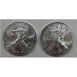 2-2013 AMERICAN SILVER EAGLES