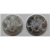 Image 2 : 2012 & 2013 AMERICAN SILVER EAGLES