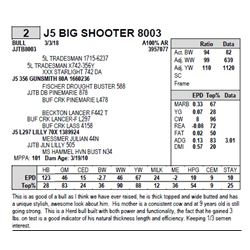 J5 BIG SHOOTER 8003