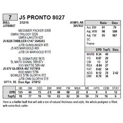 J5 PRONTO 8027