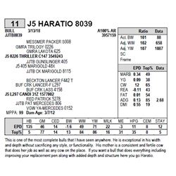 J5 HARATIO 8039