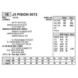 J5 FISION 8072