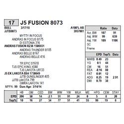 J5 FUSION 8073