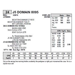J5 DOMAIN 8095