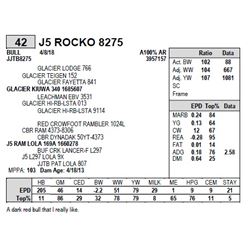 J5 ROCKO 8275