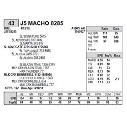 J5 MACHO 8285