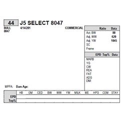J5 SELECT 8047