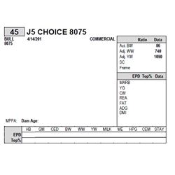 J5 CHOICE 8075