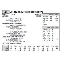 J5 R236 MERCEDES 8024