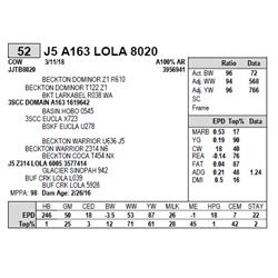 J5 A163 LOLA 8020