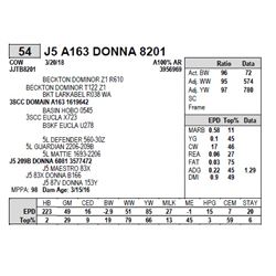J5 A163 DONNA 8201