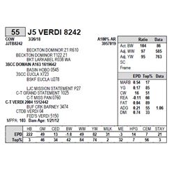 J5 VERDI 8242