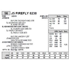 J5 FIREFLY 8238