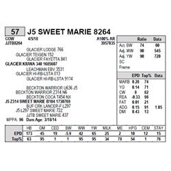 JR SWEET MARIE 8264