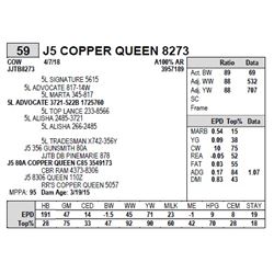 J5 COPPER QUEEN 8273
